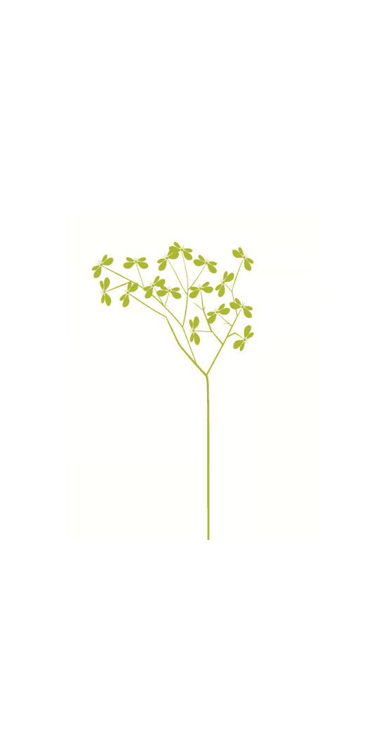 elisatree